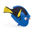 wd dory photo wd dory photo