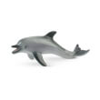 dolphin photo dolphin photo
